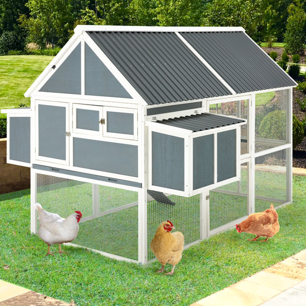 Archie & Oscar™ Fleetwood 40.2 Square Feet Chicken Coop with Chicken